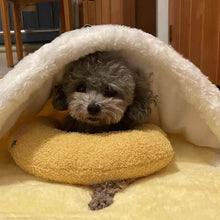 Load image into Gallery viewer, Dotmalls Pet Pillows