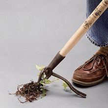 Load image into Gallery viewer, Dotmalls Weed Puller