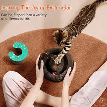 Load image into Gallery viewer, Dotmalls Magic Organ Cat Scratch Board.