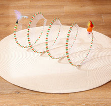 Load image into Gallery viewer, Cat Coil Spring Toy For Indoor Cats
