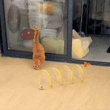Load image into Gallery viewer, Cat Coil Spring Toy For Indoor Cats
